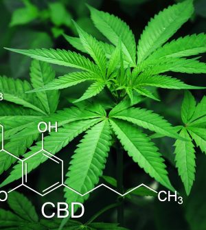 marijuana-leaves-cannabis-3678222-1.jpg